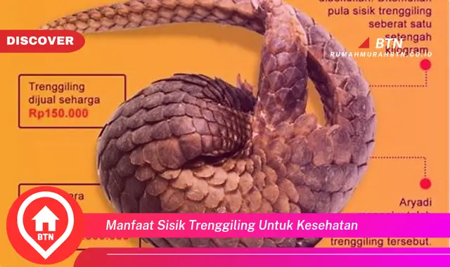 manfaat sisik trenggiling untuk kesehatan