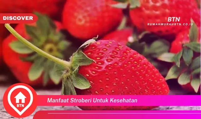 manfaat stroberi untuk kesehatan