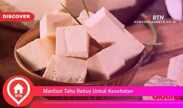 manfaat tahu rebus untuk kesehatan