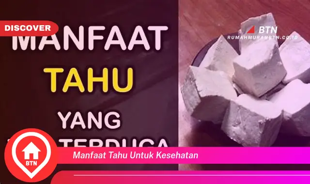 manfaat tahu untuk kesehatan