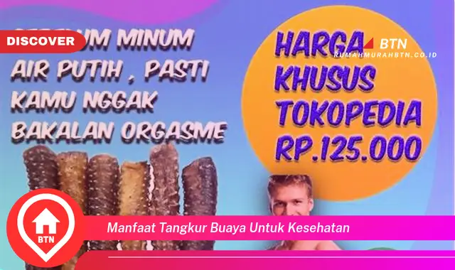 manfaat tangkur buaya untuk kesehatan