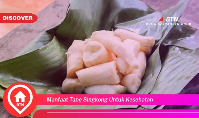 manfaat tape singkong untuk kesehatan