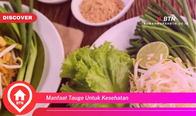 manfaat tauge untuk kesehatan