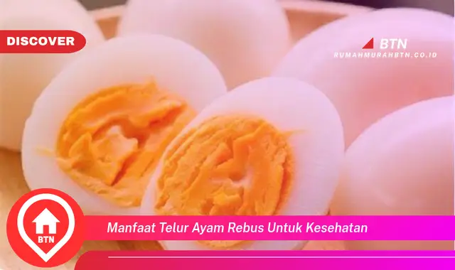 manfaat telur ayam rebus untuk kesehatan