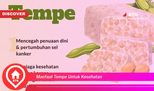 manfaat tempe untuk kesehatan