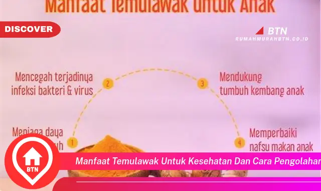 manfaat temulawak untuk kesehatan dan cara pengolahannya