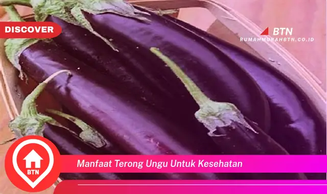 manfaat terong ungu untuk kesehatan