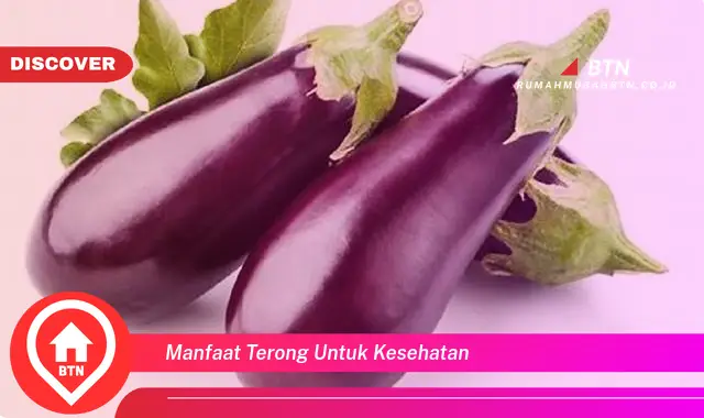 manfaat terong untuk kesehatan