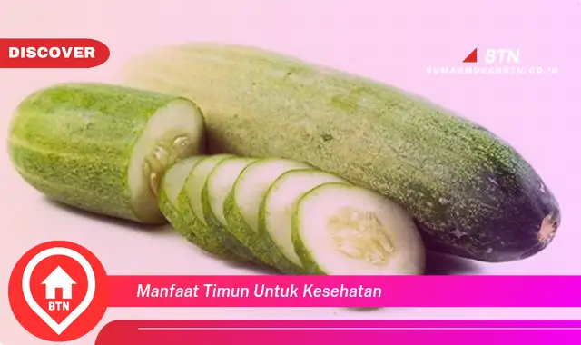 manfaat timun untuk kesehatan