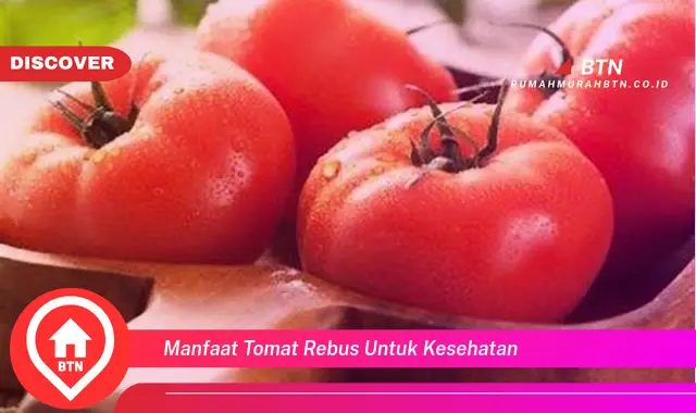 manfaat tomat rebus untuk kesehatan