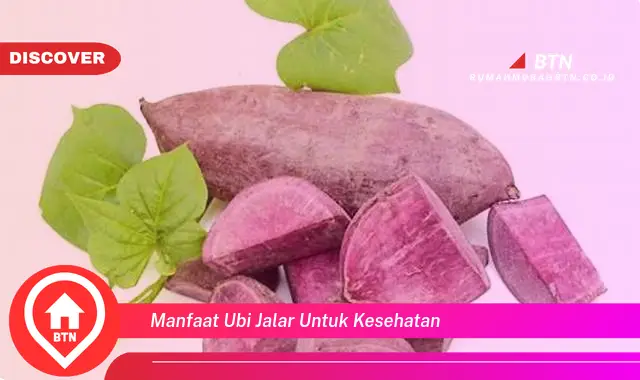 manfaat ubi jalar untuk kesehatan