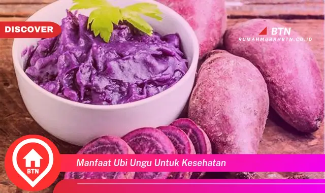 manfaat ubi ungu untuk kesehatan