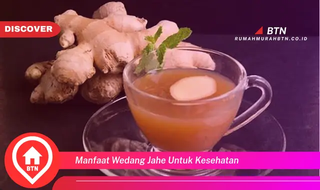 manfaat wedang jahe untuk kesehatan