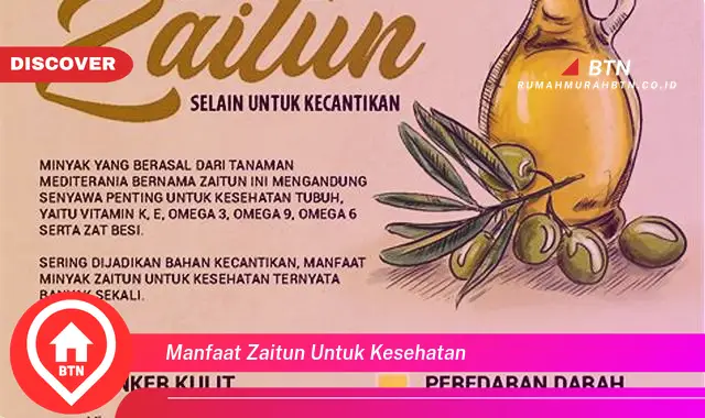 manfaat zaitun untuk kesehatan