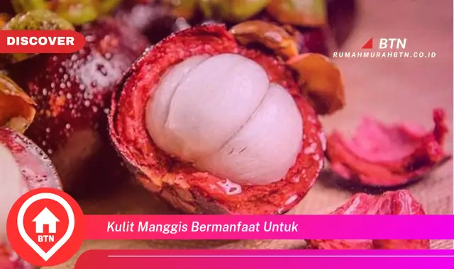 kulit manggis bermanfaat untuk