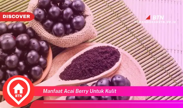 manfaat acai berry untuk kulit