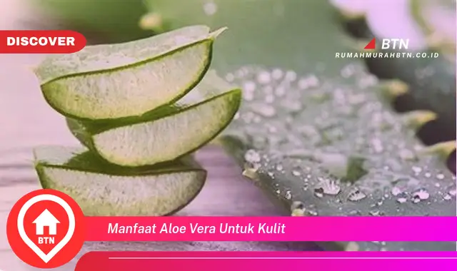 manfaat aloe vera untuk kulit