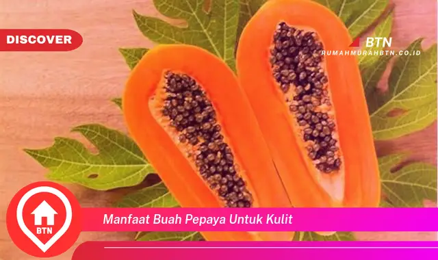 manfaat buah pepaya untuk kulit