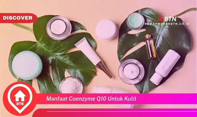 manfaat coenzyme q10 untuk kulit