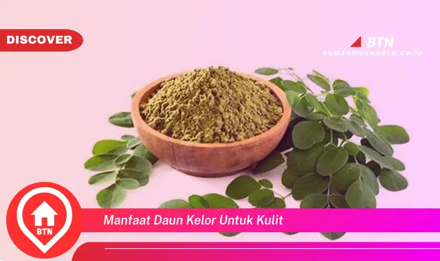 manfaat daun kelor untuk kulit