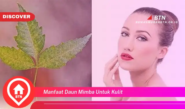 manfaat daun mimba untuk kulit