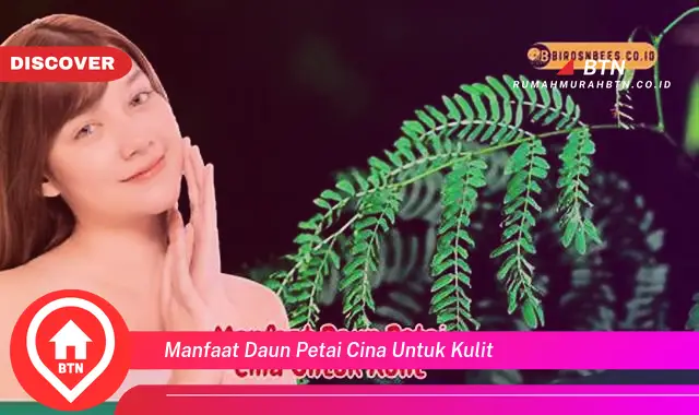 manfaat daun petai cina untuk kulit