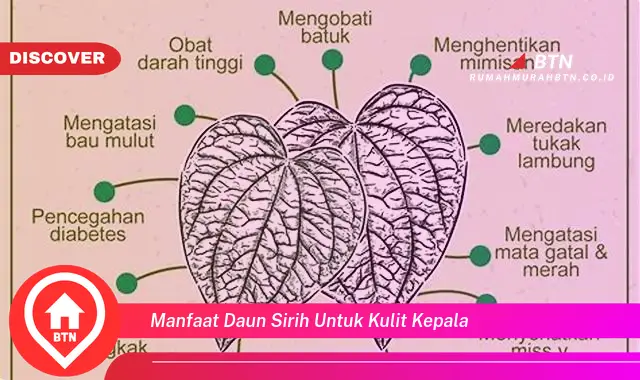 manfaat daun sirih untuk kulit kepala