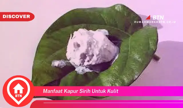 manfaat kapur sirih untuk kulit