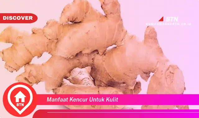 manfaat kencur untuk kulit