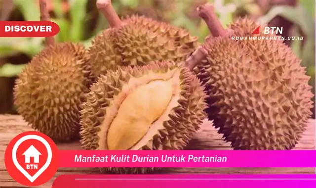 manfaat kulit durian untuk pertanian