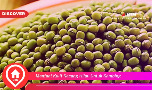 manfaat kulit kacang hijau untuk kambing