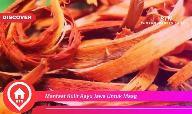 manfaat kulit kayu jawa untuk maag