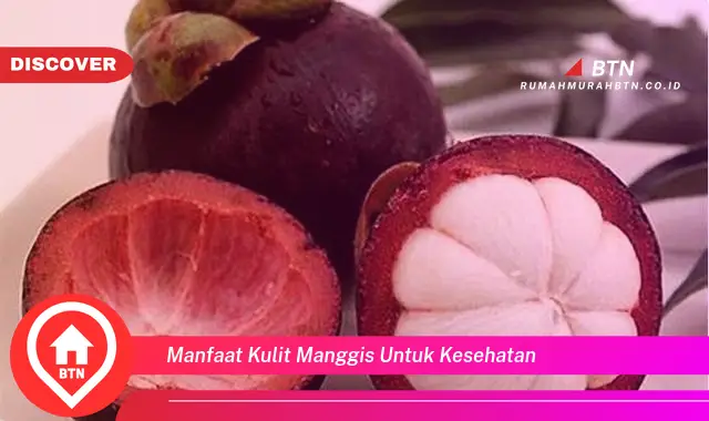 manfaat kulit manggis untuk kesehatan