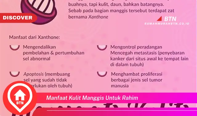 manfaat kulit manggis untuk rahim