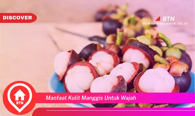 manfaat kulit manggis untuk wajah