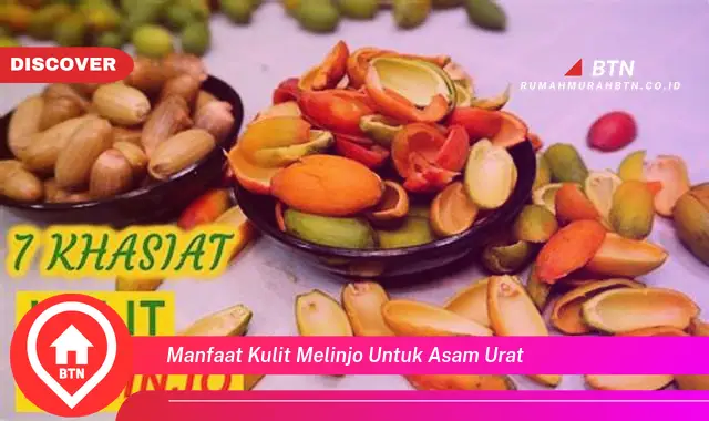 manfaat kulit melinjo untuk asam urat