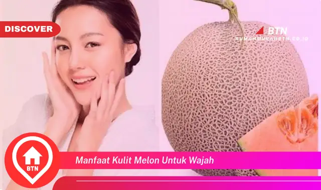 manfaat kulit melon untuk wajah