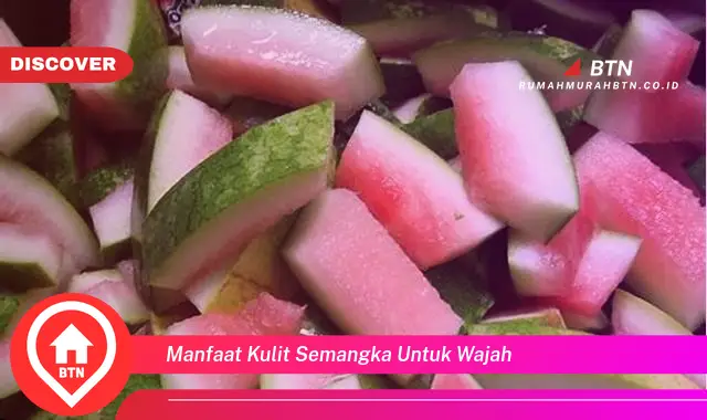 manfaat kulit semangka untuk wajah