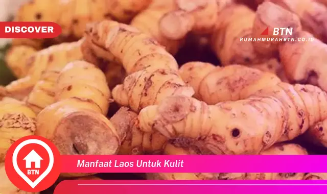 manfaat laos untuk kulit