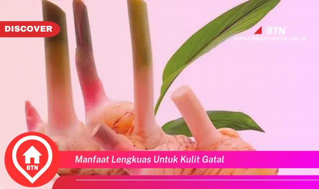 manfaat lengkuas untuk kulit gatal