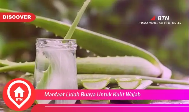 manfaat lidah buaya untuk kulit wajah