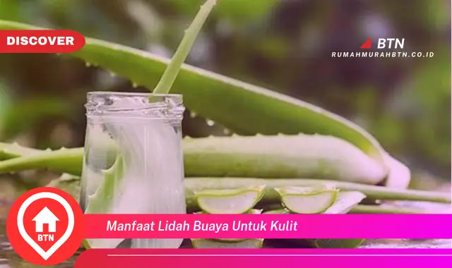 manfaat lidah buaya untuk kulit