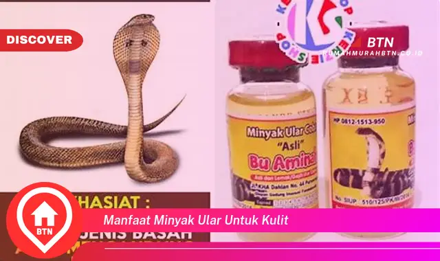 manfaat minyak ular untuk kulit