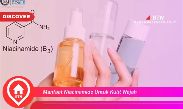 manfaat niacinamide untuk kulit wajah