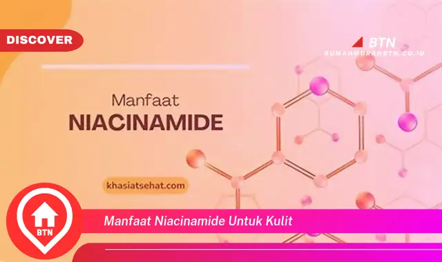 manfaat niacinamide untuk kulit