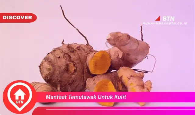 manfaat temulawak untuk kulit