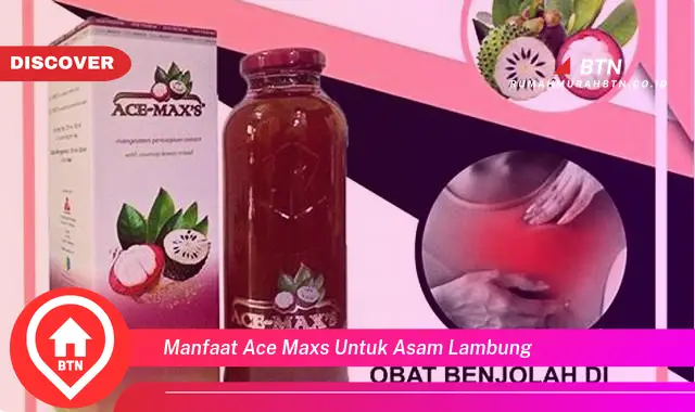 manfaat ace maxs untuk asam lambung