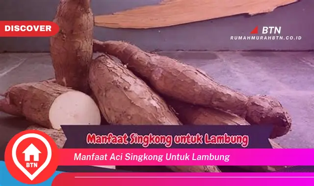 manfaat aci singkong untuk lambung