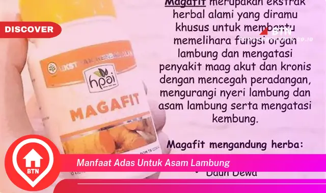 manfaat adas untuk asam lambung