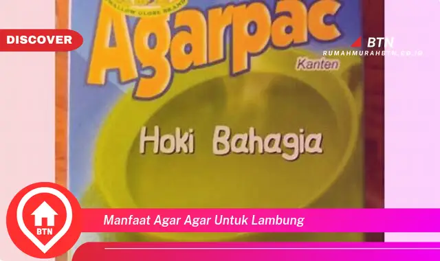 manfaat agar agar untuk lambung